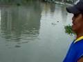 Fishing (and maybe taking a dip) in Pasig river