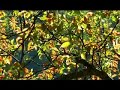 Sanica kod Prenja Sanica kod Prenja