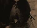 Snarry -Won't go home without you-
