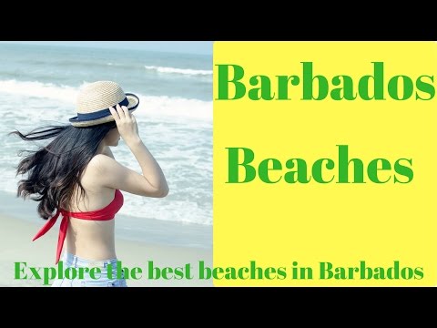 Barbados Beaches - Explore the best beaches in Barbados!