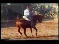 CABALLOS-OROBROY