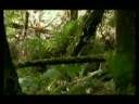 ESPIRITUS DEL BOSQUE HELADO 2 - Caminando con dinosaurios - Mundo perdido - Prehistoria y cuentos de la tierra