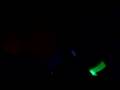 Nocturnal club sessions