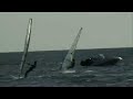 videos windsurf