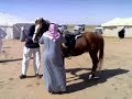 Funny Arab