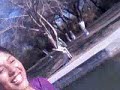 Video0014,,