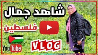 اجمل المواقع في فلسطين |   جولة ممتعة |  وادي الحنداج  |عين الرميلة اجمل المواقع في فلسطين |   جولة ممتعة |  وادي الحنداج  |عين الرميلة