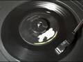 WIPE OUT THE SURFARIS 45 RECORD