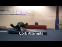 Trick Session1-desktop.m4v Trick Session1-desktop.m4v