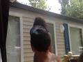 videos de le femme éléphant