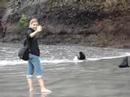 Wild Seals Wild Seals