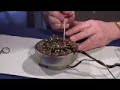 part of future dvd hammond inside
care and maintenance by alain kahn
watch and practice by bruno micheli