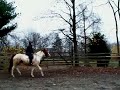 070.MOV