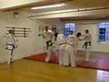 Flying Side Kick (Master Howards)