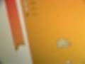 videos de Flight of the Hamsters 71 ft.
