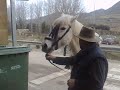 Kutan (Dr Frago) luciendo caballo