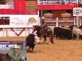 2009-NCHA-Super-Stak