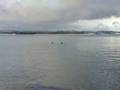 videos de V221108_11.41.3gp