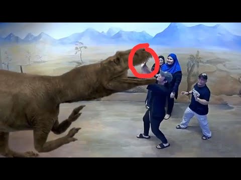 Illusion 3d art museum kuala lumpur experience | national geographic
