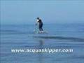 Acquaskipper Sea Fly! Waterbird ufo