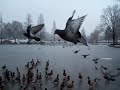 Modena. Parco Amendola Modena. Parco Amendola