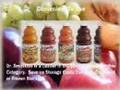 Dr. Smoothie All Natural Smoothies drink