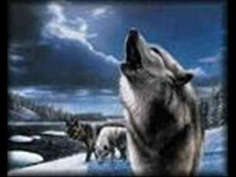 OSMAN ÖZTUNÇ-BİRADER