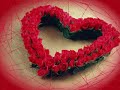 TE LLAME