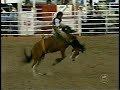 a rodeo rider takes a fall...

music by 