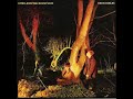 Echo and the Bunnymen – Rescue