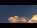 Post-Rain Slowstick Flying
