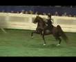 CCV Casey's Final Countdown trot on entry