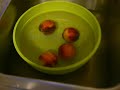 Dehydrated Nectarines & Making Dried Nectarine Crisps Is Easy With Stephanie @ efooddehydrator.com~