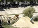 FISE 2008