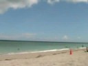 Julian Perez (Hollywood beach) #4