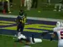 2006 College Football Highlight Video