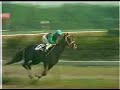 Sinzan?Japan Derby