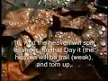 Surah Al-H�qqah - Yasir Failakawi