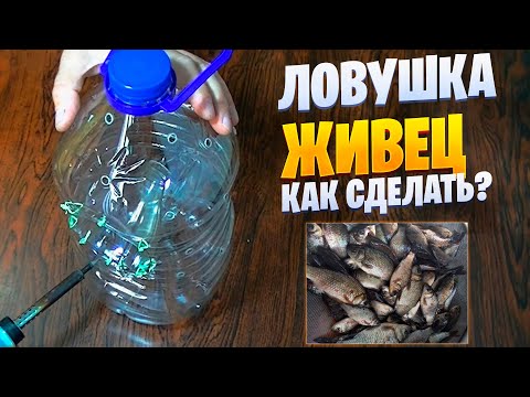 Как сделать ловушку для рыбы из бутылки Как сделать ловушку для рыбы из бутылки