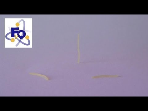 Imatge de previsualització de YouTube