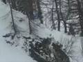 Bad Gastein easter 2008, powder skiing