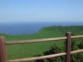 夏の韓国！