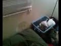Bigg daddy going threw a wall lol Bigg daddy going threw a wall lol