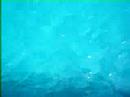 perfect clear water