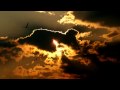 Meniscus - Pilot