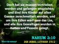 Der Prophet Nahum - Kapitel 3