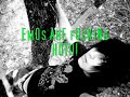 emos are hot