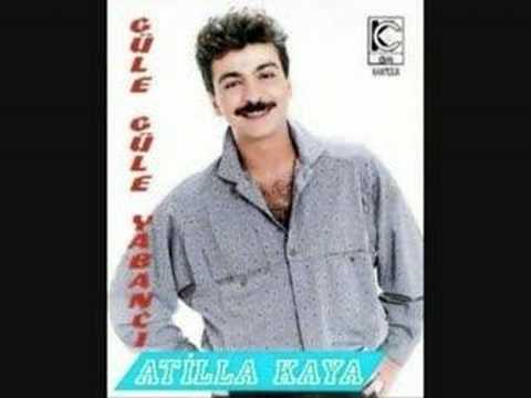 Atilla Kaya (istanbul sokakları)