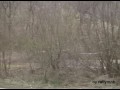 Rally Banat 2007 ps 10
