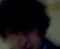 pica pica pica pica
